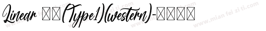Linear 常规(Type1)(western)字体转换